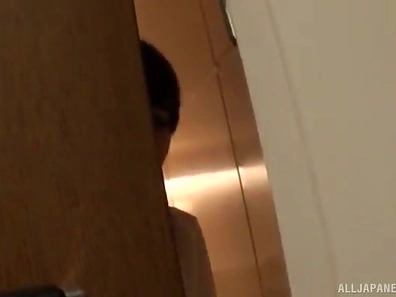 Seductive Japanese Temptress Milks Stiff Cock Before Hairy Pussy Action