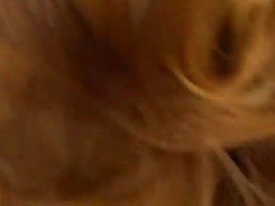 Cock-Crazed Asian Beauties Go Wild Thirsty for Hard-ons & Load