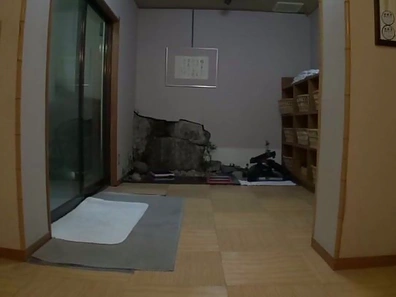 Cute pigtailed Japanese teen experiences doggystyle fuck